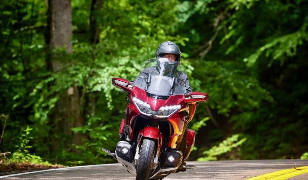 Motorcyclist on red bike rides through a lush forest road.